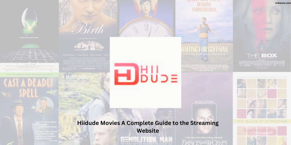 Hiidude Movies A Complete Guide to the Streaming Website